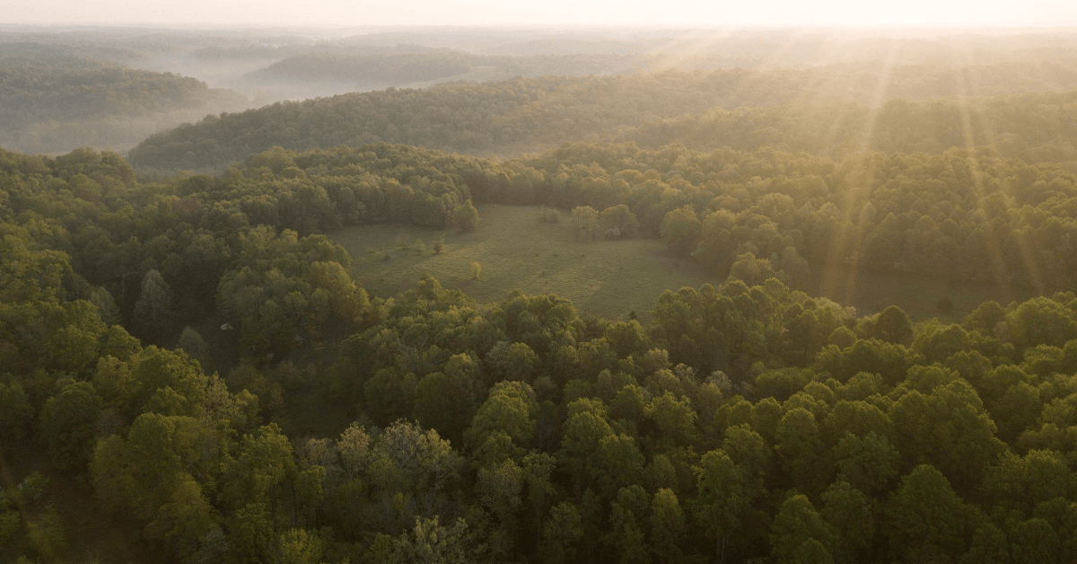 Featured Image for Homepage